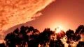 Timelapse Sunset CLouds HSD05 Trees HD Footage