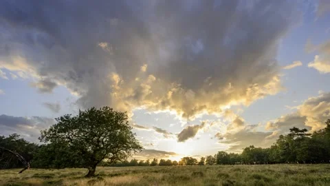Timelapse of sunset clouds over a natural field Stock Footage 158479349