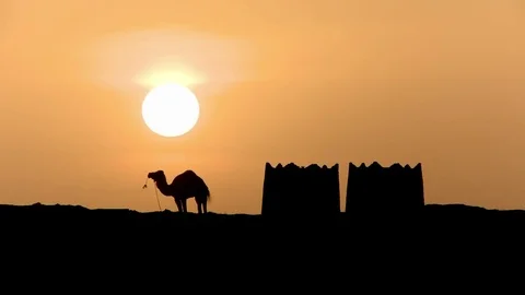 Timelapse sunset in the desert with a camel and old building Stock Footage 76433513