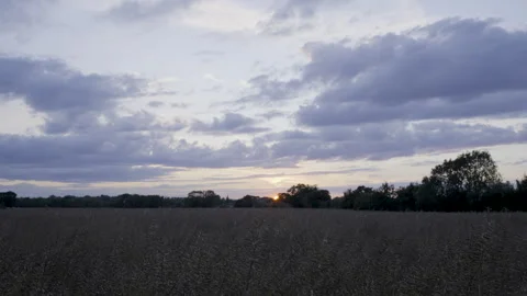 Timelapse of Sunset on an English Field 스톡 동영상 264875354