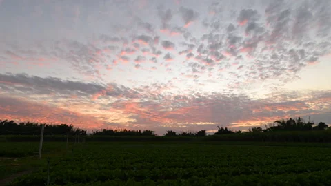 Timelapse of sunset with few red clouds in the sky.	 Stock Footage 224348765