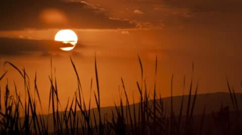 Timelapse of a Sunset Stock Footage 10728137