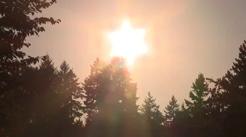 Timelapse of Sunset Stock Footage 23425753