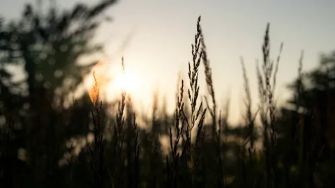 Timelapse of sunset 動画素材 93536376