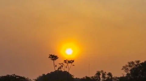 Timelapse of sunset in the forest 1080. 스톡 동영상 36647370