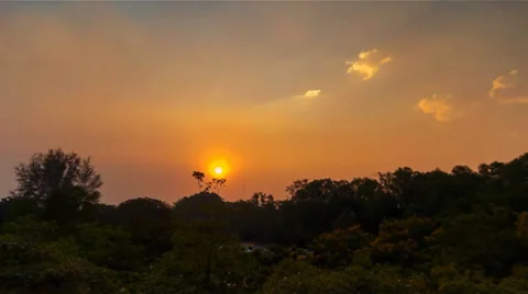 Timelapse of sunset in the forest 720p. Stock Footage 36646883