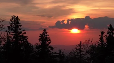 Timelapse of the sunset in the forest Stock Footage 53810629