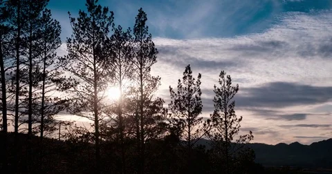 Timelapse, Sunset in the forest Stock Footage 81876563