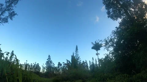 Timelapse of Sunset in Hawaiian Jungle Stock Footage 229019338