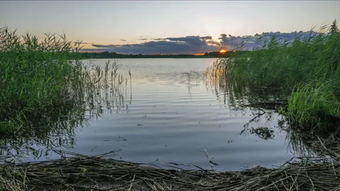 Timelapse - sunset on the lake Stock Footage 137206286