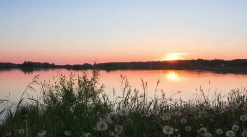 Timelapse of a sunset on the lake in summer Video stock 64541783