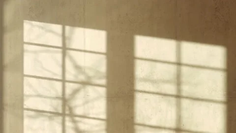 Timelapse of sunset light on the wall with tree and window shadow. Stock Footage 151451363