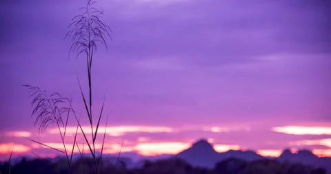 Timelapse Sunset mountain Violet purple sky beautiful landscape mist Видео 262292269
