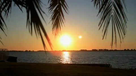 Timelapse of Sunset over Bay framed by Palm Trees with Zoom Stock Footage 10917346