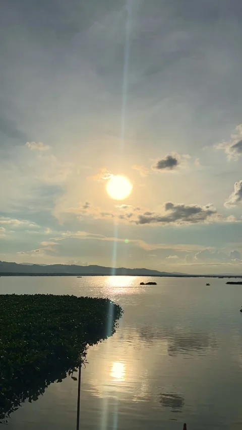Timelapse of Sunset Over Calm Lake with Lush Greenery Stock Footage 333039719