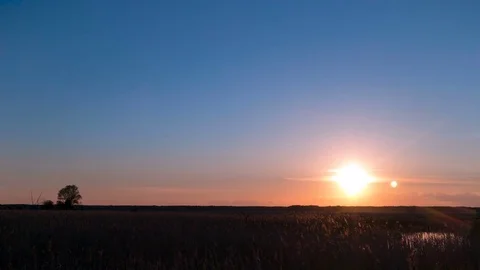 Timelapse. Sunset over the field and little pond.Lonley tree in the left side. Stock Footage 76212507