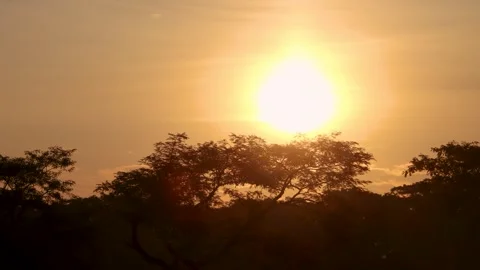 Timelapse of sunset over jungle with few clouds in the sky and orange teal Stock Footage 257781914
