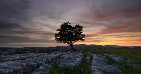 Timelapse of sunset over lonely tree among limestone pavement Stock Footage 317105308