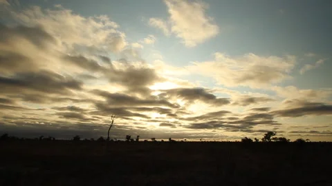 Timelapse Sunset over Satara's bushveld plains in Kruger NP, Africa Stock Footage 236102368