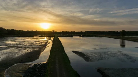 Timelapse Sunset over water with clouds Stock Footage 50097227