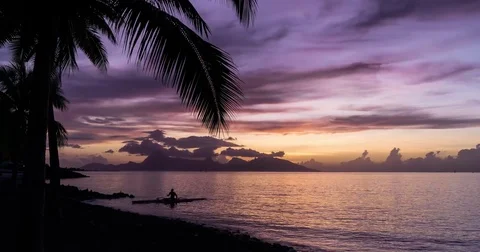Timelapse Sunset Palm tree Canoe Clouds Sea Island Tahiti Paradise 4K Stock Footage 84491933