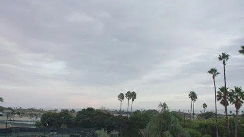 Timelapse Sunset with palm trees Stock Footage 304089964