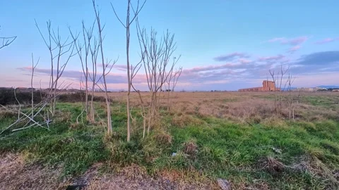 Timelapse Sunset with pink sky 库存影片 171654773