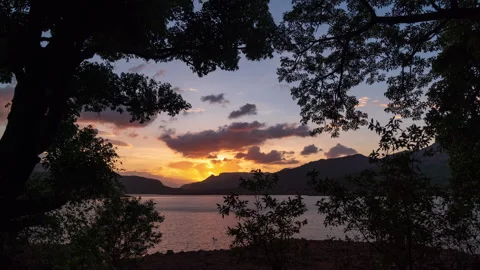 Timelapse - Sunset shot from a canopy of trees on a lake 4K60 Stock Footage 268790179