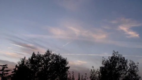Timelapse of the sunset sky with trees blowing in the wind Stock Footage 118388956