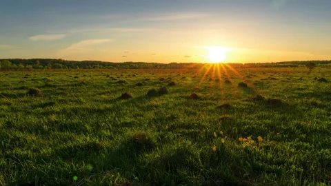 Timelapse of a sunset in a spring field with green grass. 4k resolution. Stock Footage 197468867