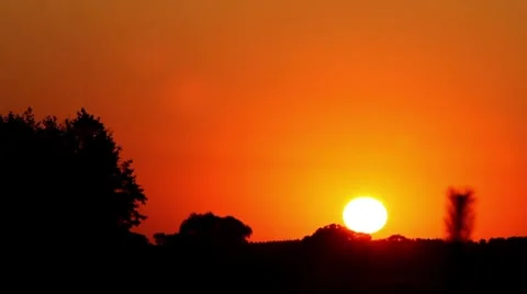 Timelapse. sunset with tree silhouette. Видео 8621215