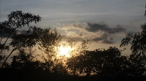 Timelapse sunset with trees and dark clouds Stock Footage 44750862