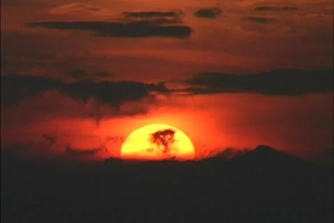 Timelapse sunset in the Tropics Stock Footage 467158