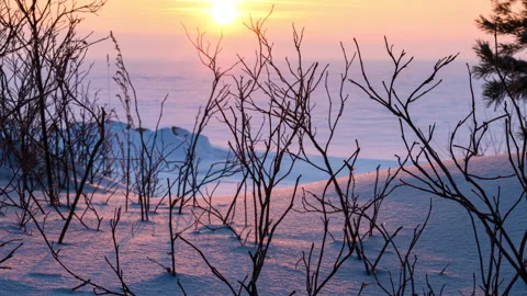 Timelapse sunset winter. Stock Footage 169383392
