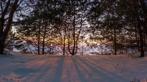 Timelapse sunset winter. Stock Footage 169383399