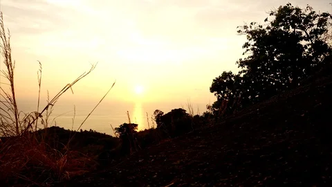 Timelapse of sunset yellow sun over the horizon. Sea view, grass with trees. Video stock 108665826