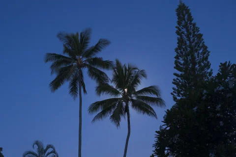 Timelapse, supermoon, full moon, august 2014, oahu, hawaii. Stock Footage 40745585