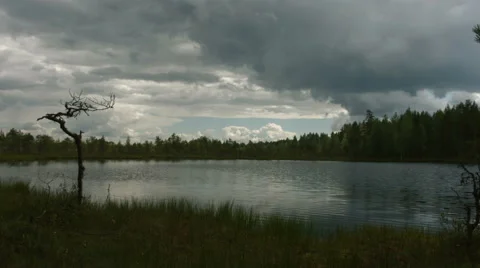 Timelapse of a swamp lake Stock Footage 49159294