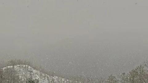 Timelapse sweeps a blizzard against a tree background Stock Footage 170011008
