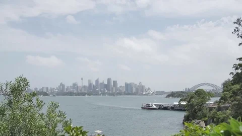 Timelapse - Sydney Skyline Stock Footage 81362137