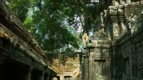 Timelapse Ta Prohm Cambodia 스톡 동영상 11546324