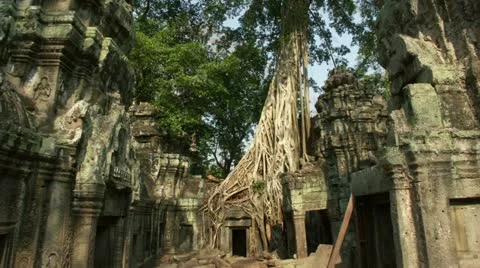 Timelapse Ta Prohm Cambodia Видео 11601524
