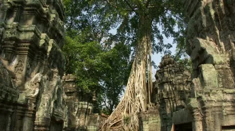 Timelapse Ta Prohm sunset Vídeos de archivo 11546462