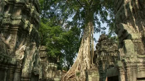 Timelapse Ta Prohm sunset Stock Footage 11601538