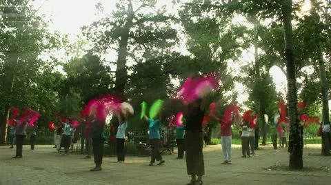 Timelapse Tai Chi Chuan session 스톡 동영상 11536695