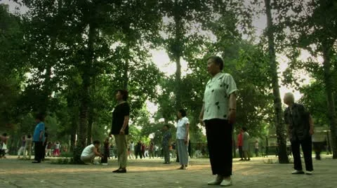 Timelapse Tai Chi Chuan session Stock-Footage 11536741