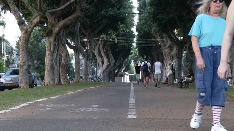 Timelapse of Tel Aviv Boulevard Video stock 105619620