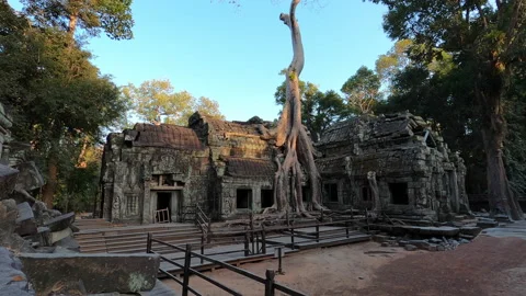 Timelapse of temple Ta prohm Stock Footage 146891233