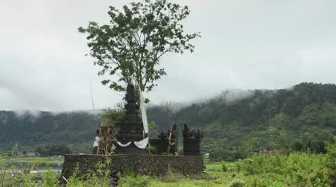 Timelapse temple tree Stock Footage 10901490