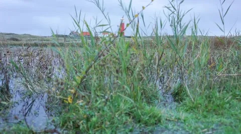 Timelapse Texel Lighthouse Video stock 41594337